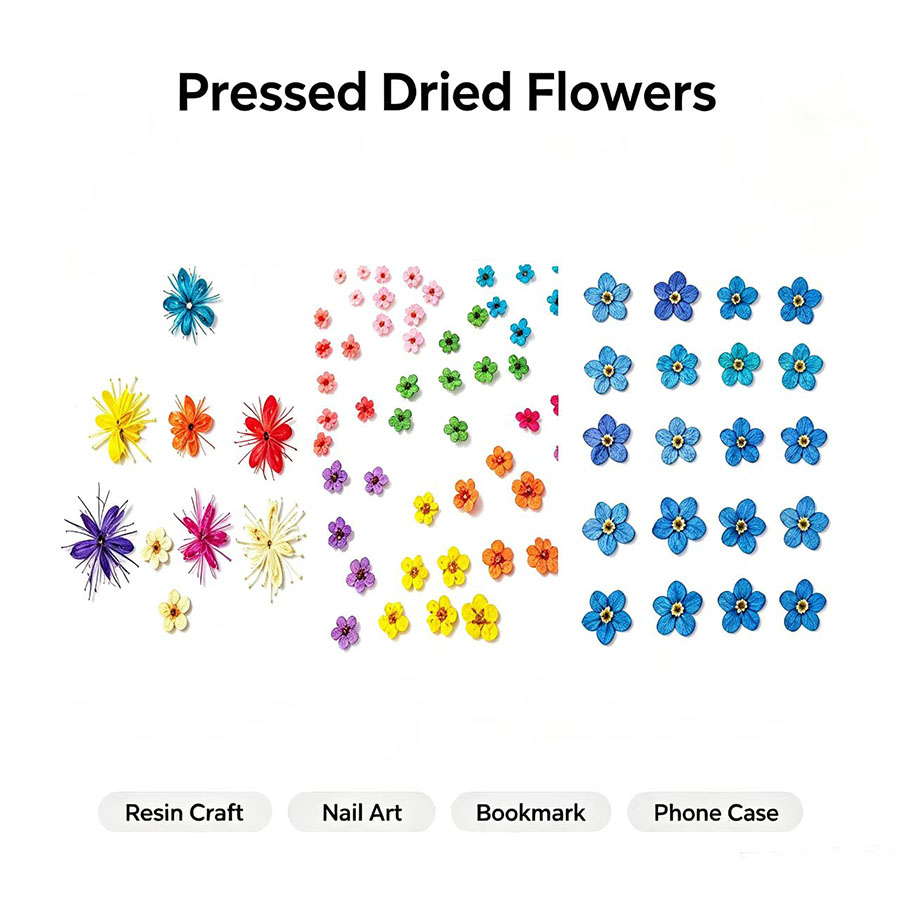Resin Craft Ideas - 60 unidades de flores secas em