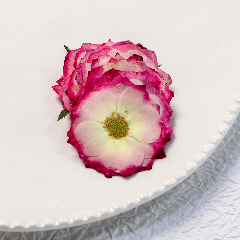 60 Rosas Reais Prensadas Amare - Resin Craft Ideas avaliação e preço