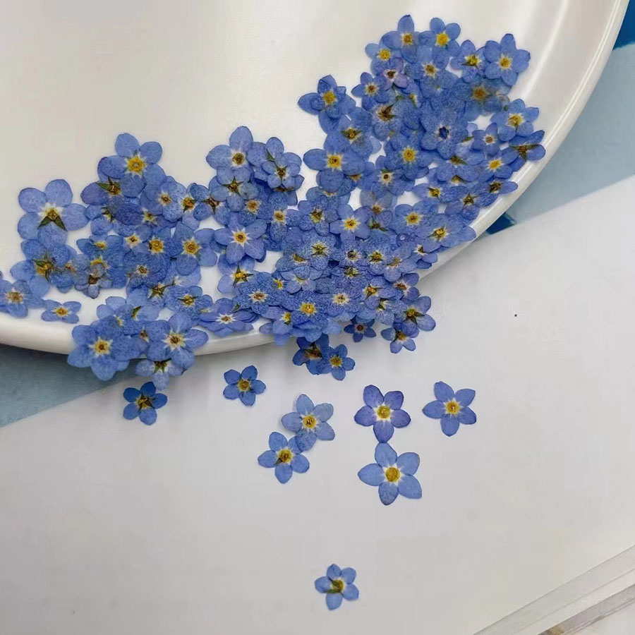 60 unidades de flores secas em - Resin Craft Ideas avaliação e preço